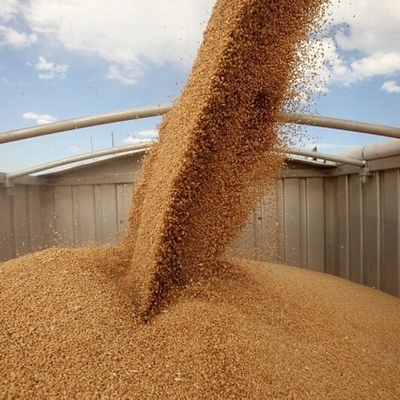 OKKO Group invests UAH 100 million in its own fleet of grain trucks