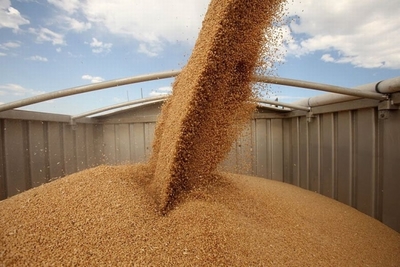 OKKO Group invests UAH 100 million in its own fleet of grain trucks